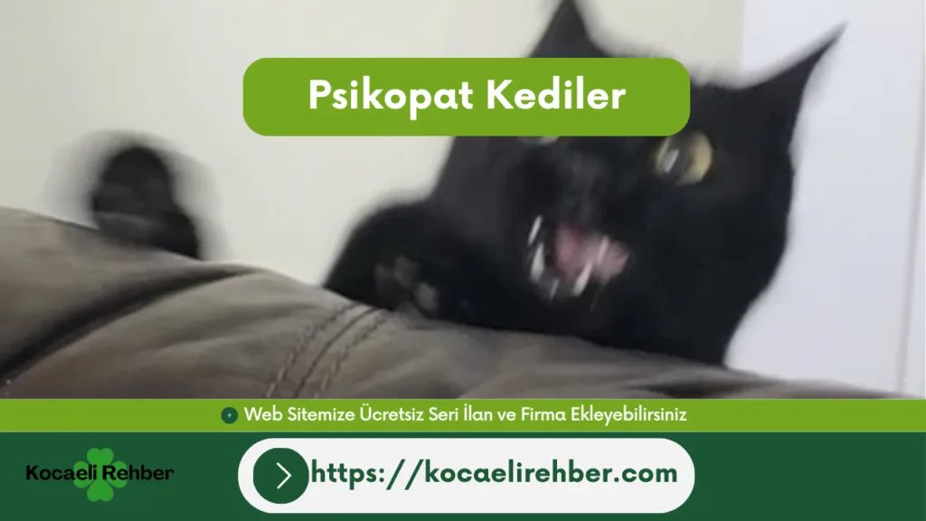 Psikopat Kediler